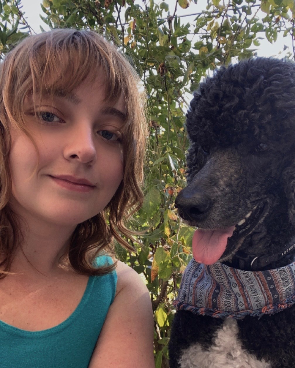 Meet Your DawgyStyle Groomer