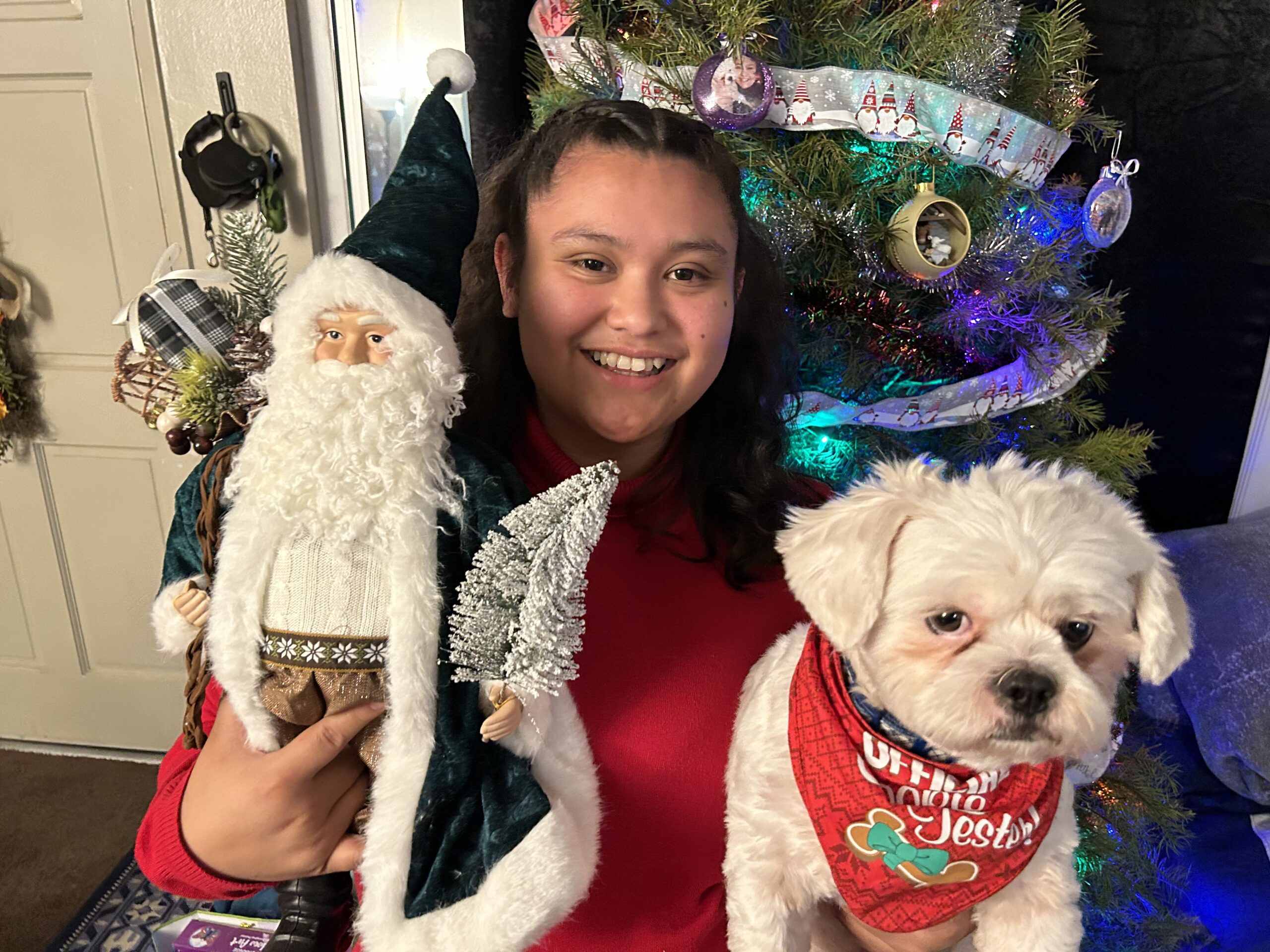 Meet Your DawgyStyle Groomer