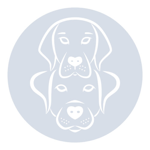 DawgyStyle Grooming Portfolio